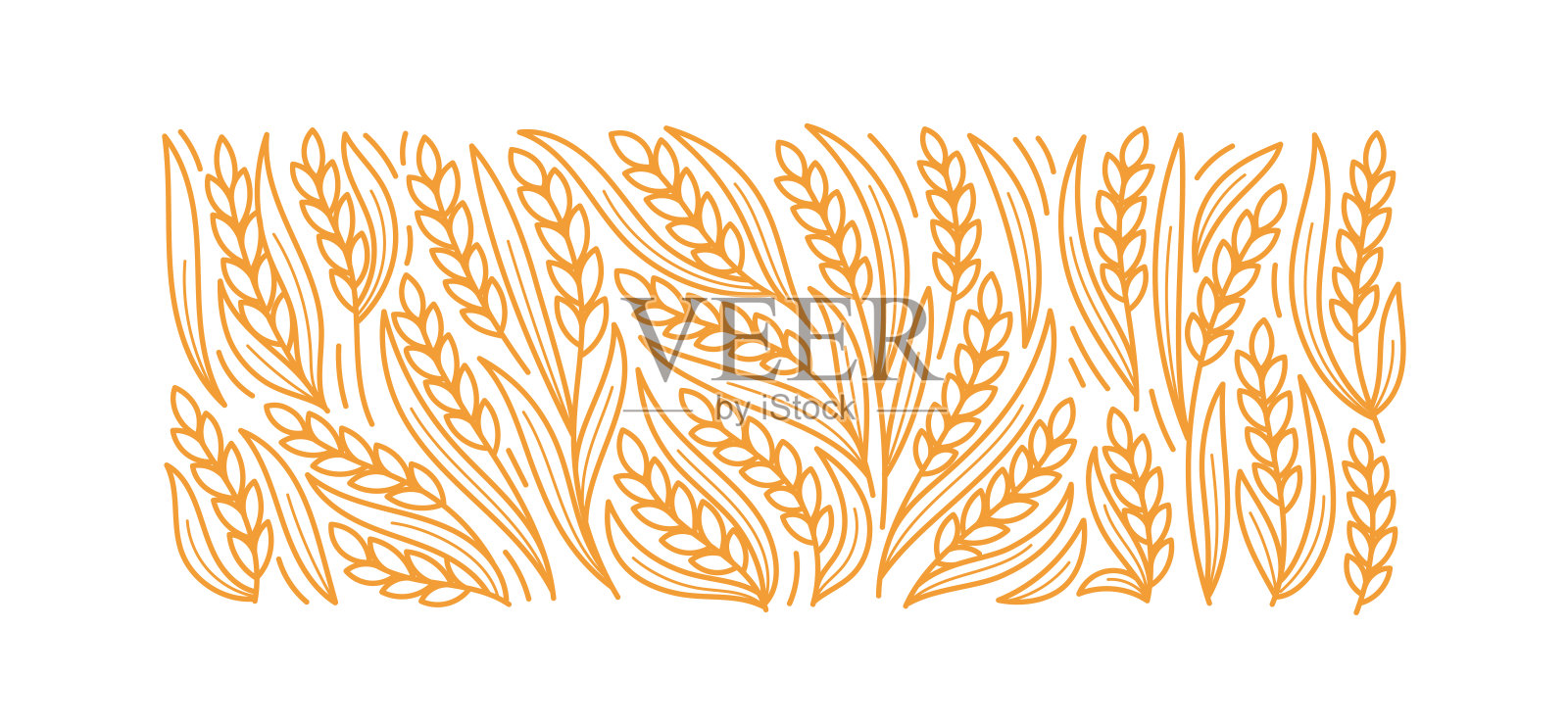 小麦背景面包房。小麦的小穗和穗。可编辑的轮廓笔画。矢量线。插画图片素材