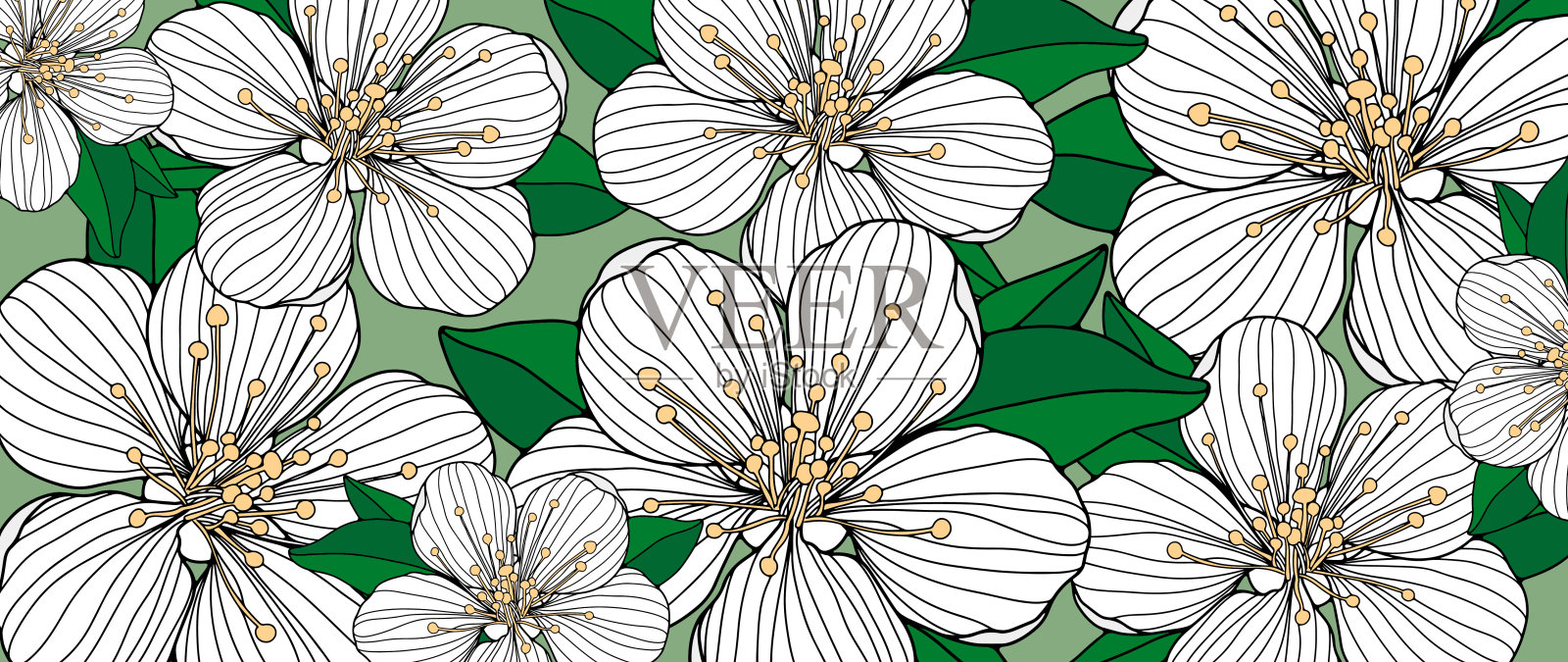 色彩丰富的夏季插图与白色樱花在绿色背景的装饰，封面，背景，壁纸，卡片插画图片素材