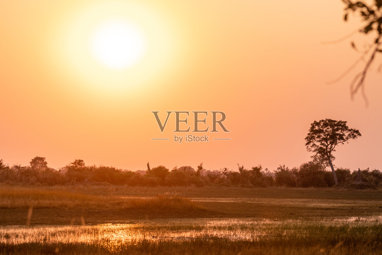 奥卡万戈三角洲的日落照片摄影图片