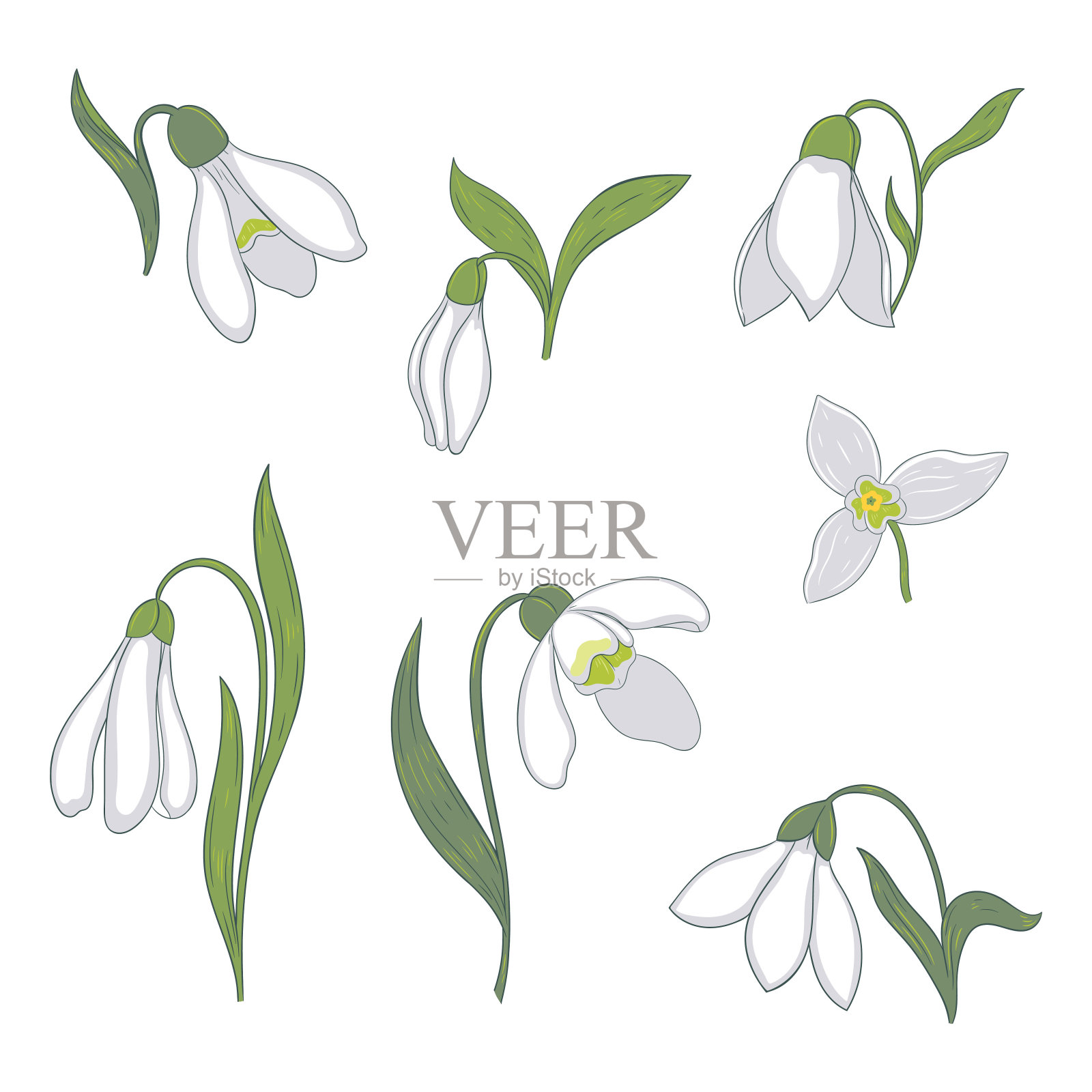 白色背景上孤立的雪花花。矢量图形。插画图片素材