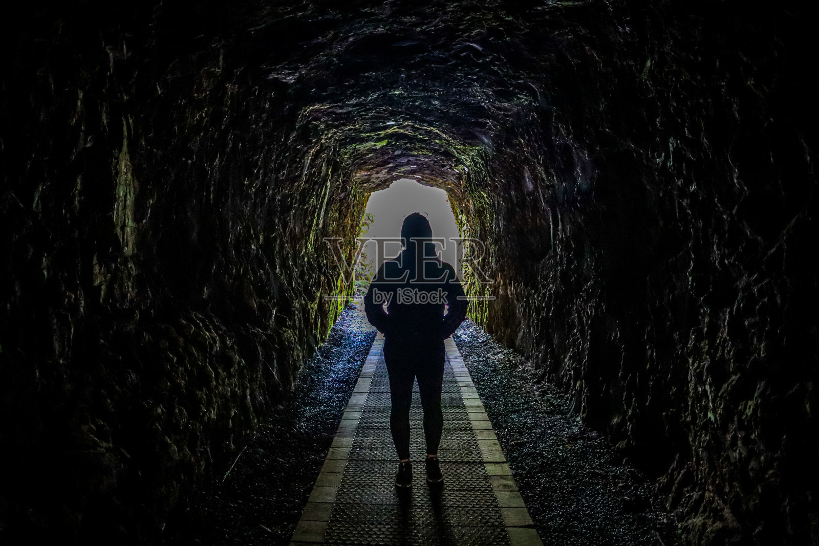 井蛙之见照片摄影图片