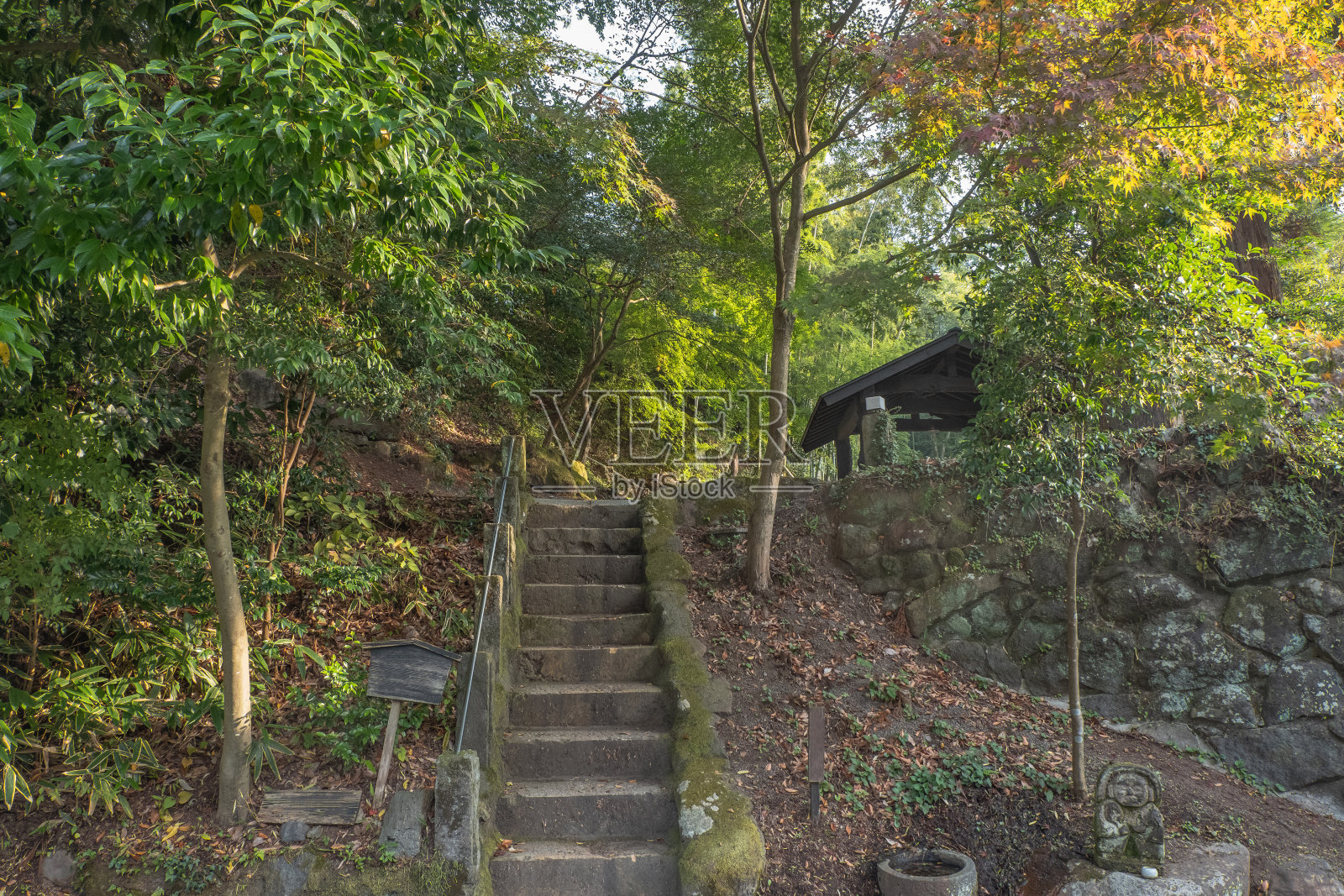 日本九州熊本，黑川温泉村的步道，自然中的楼梯照片摄影图片
