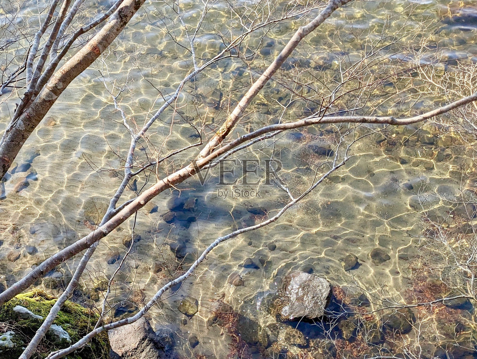 阳光照在湖面上。照片摄影图片