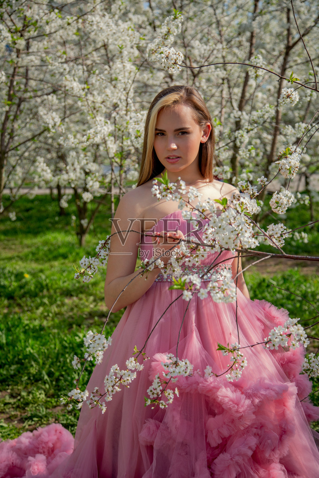一个亚洲女孩的肖像在一个盛开的花园。开花的树。照片摄影图片