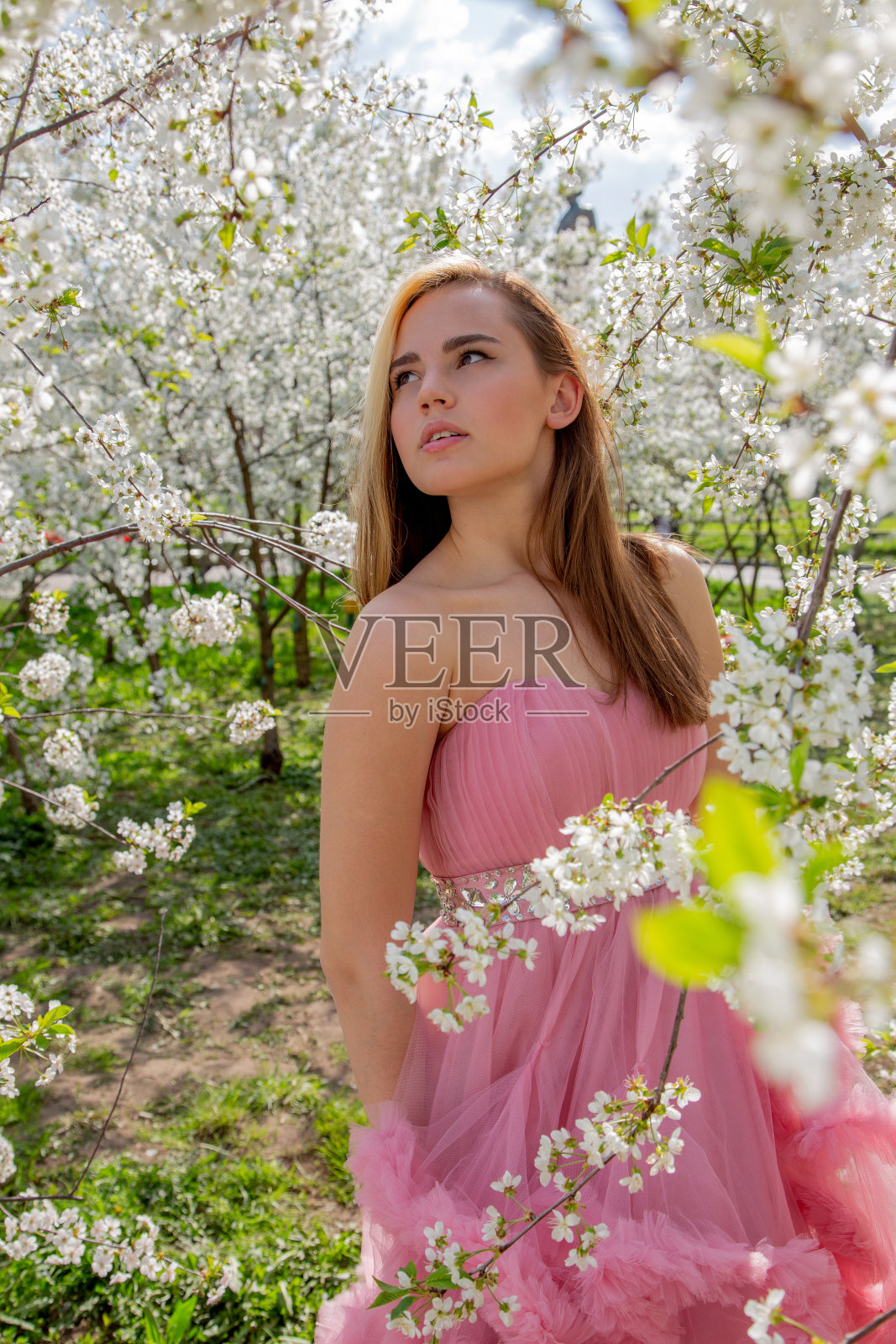 一个亚洲女孩的肖像在一个盛开的花园。开花的树。照片摄影图片