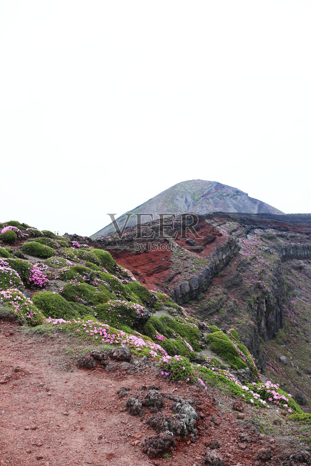 从马背上俯瞰高奇荷马山顶照片摄影图片