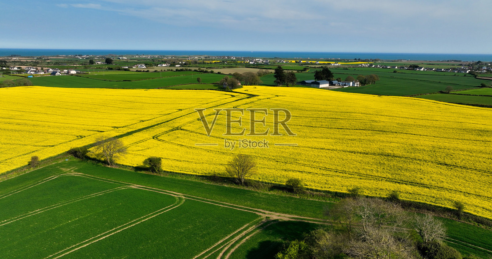 一张空中照片，黄色的油菜籽在风中吹在爱尔兰照片摄影图片