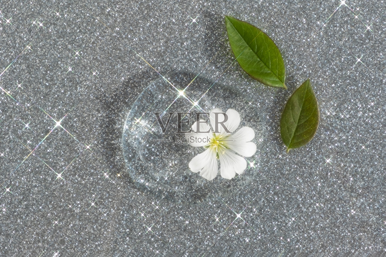 一滴透明的透明质酸凝胶或精华液，白色的花朵和绿色的叶子在银色的闪光背景上。天然化妆品的概念。前视图。照片摄影图片