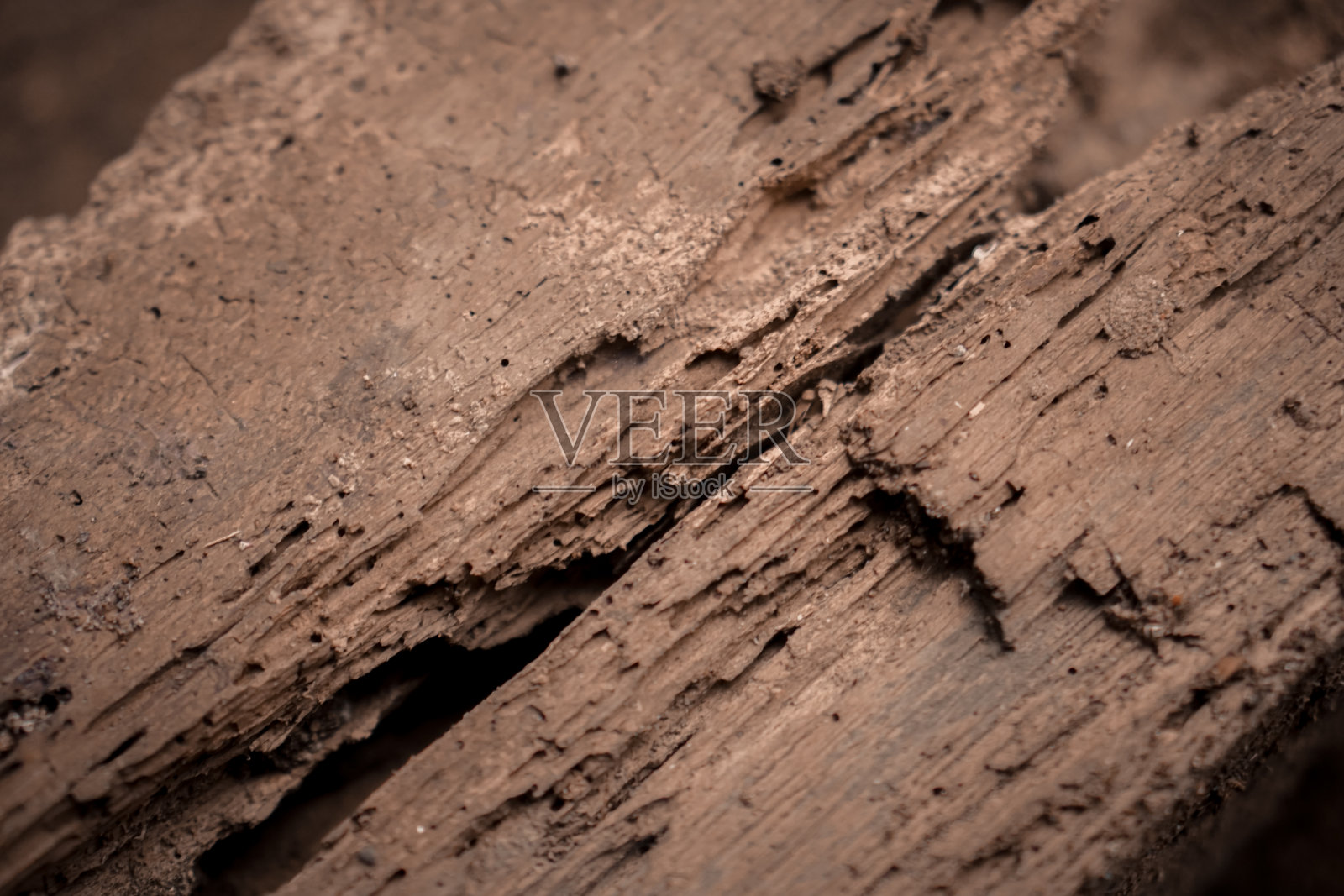 风化木纹理照片摄影图片