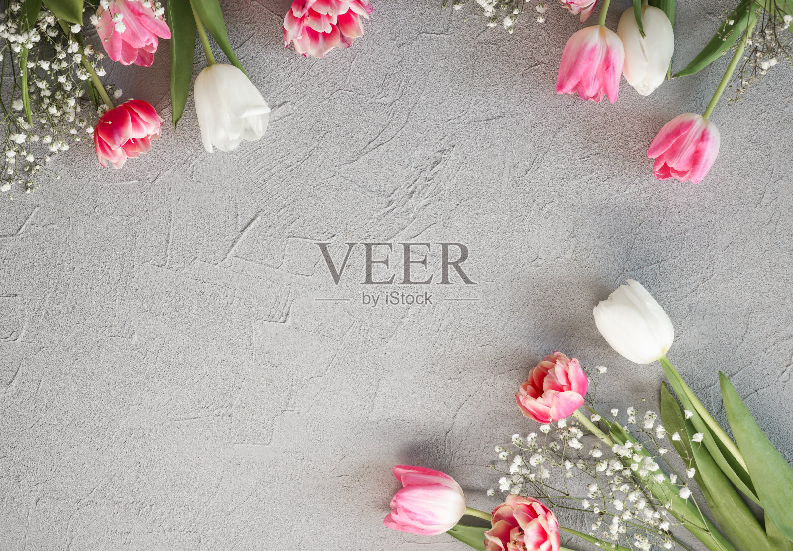 粉红色的郁金香和白色的吉卜草花束在时尚的灰色石头背景。母亲节，生日庆祝概念。文本复制空间照片摄影图片