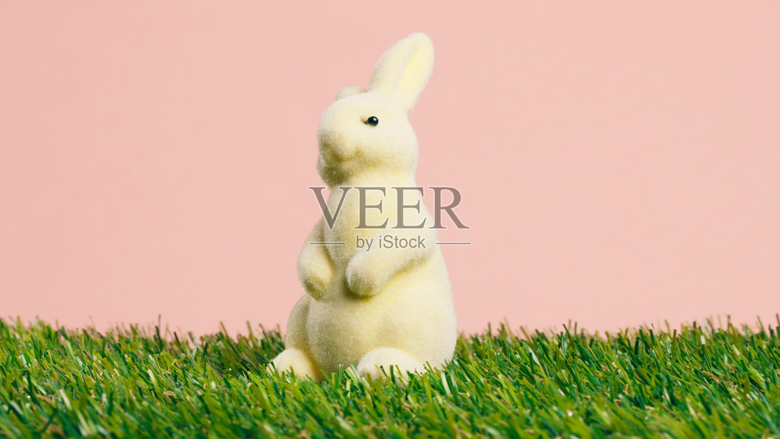 可爱的复活节兔子在绿色的草坪上照片摄影图片