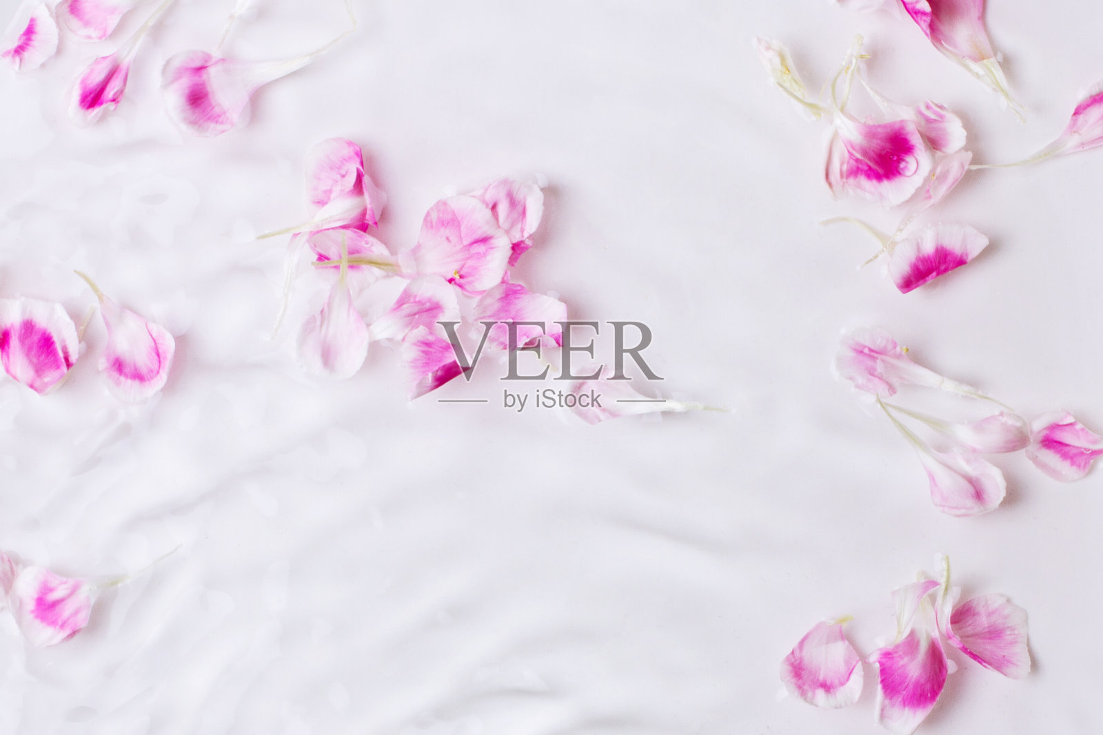 玫瑰花瓣浸入水中。波浪，水，花瓣。花，滴水，浇。照片摄影图片