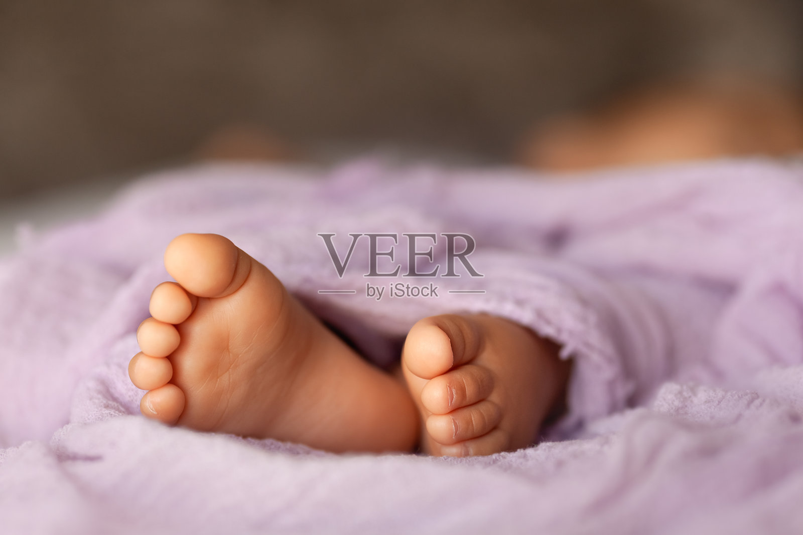 新生婴儿的脚在紫丁香包裹在自然光下，小脚趾特写，室内摄影照片摄影图片