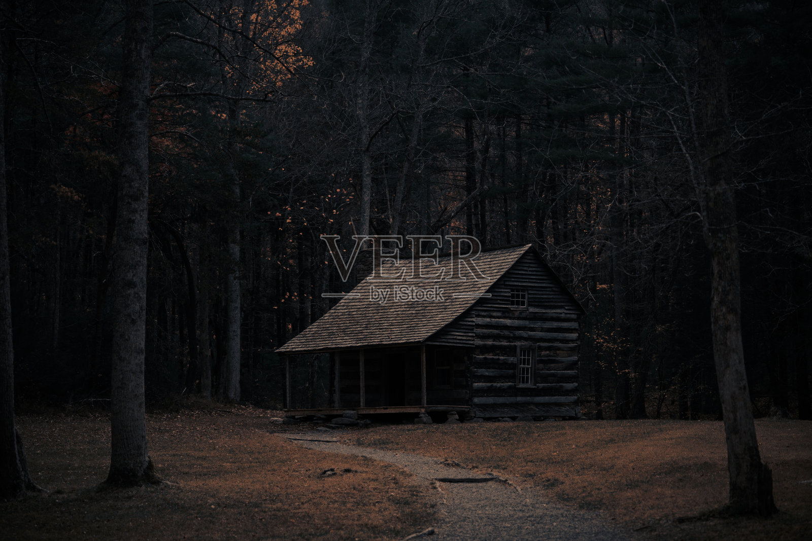 噩梦或白日梦照片摄影图片