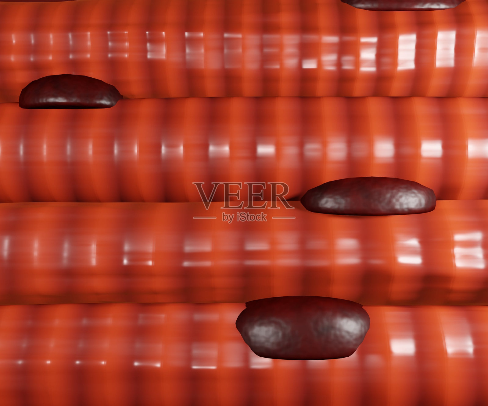 闭合肌肉纤维束3d渲染照片摄影图片