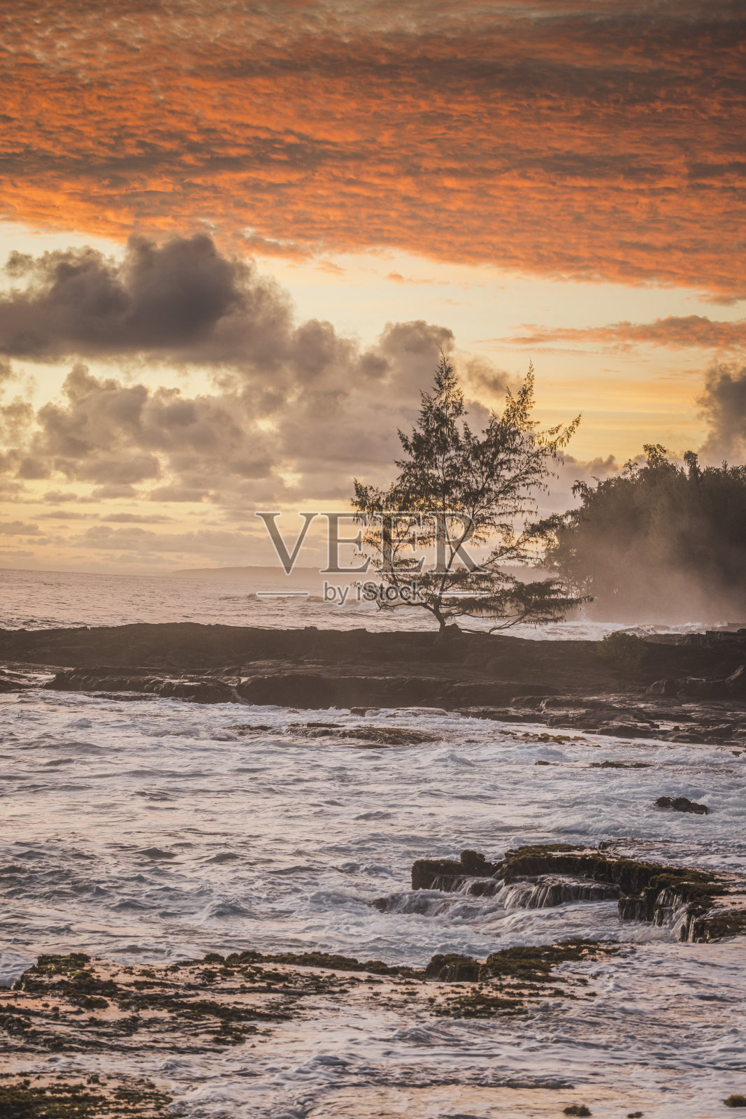 夏威夷海岸清晨的熔岩田照片摄影图片