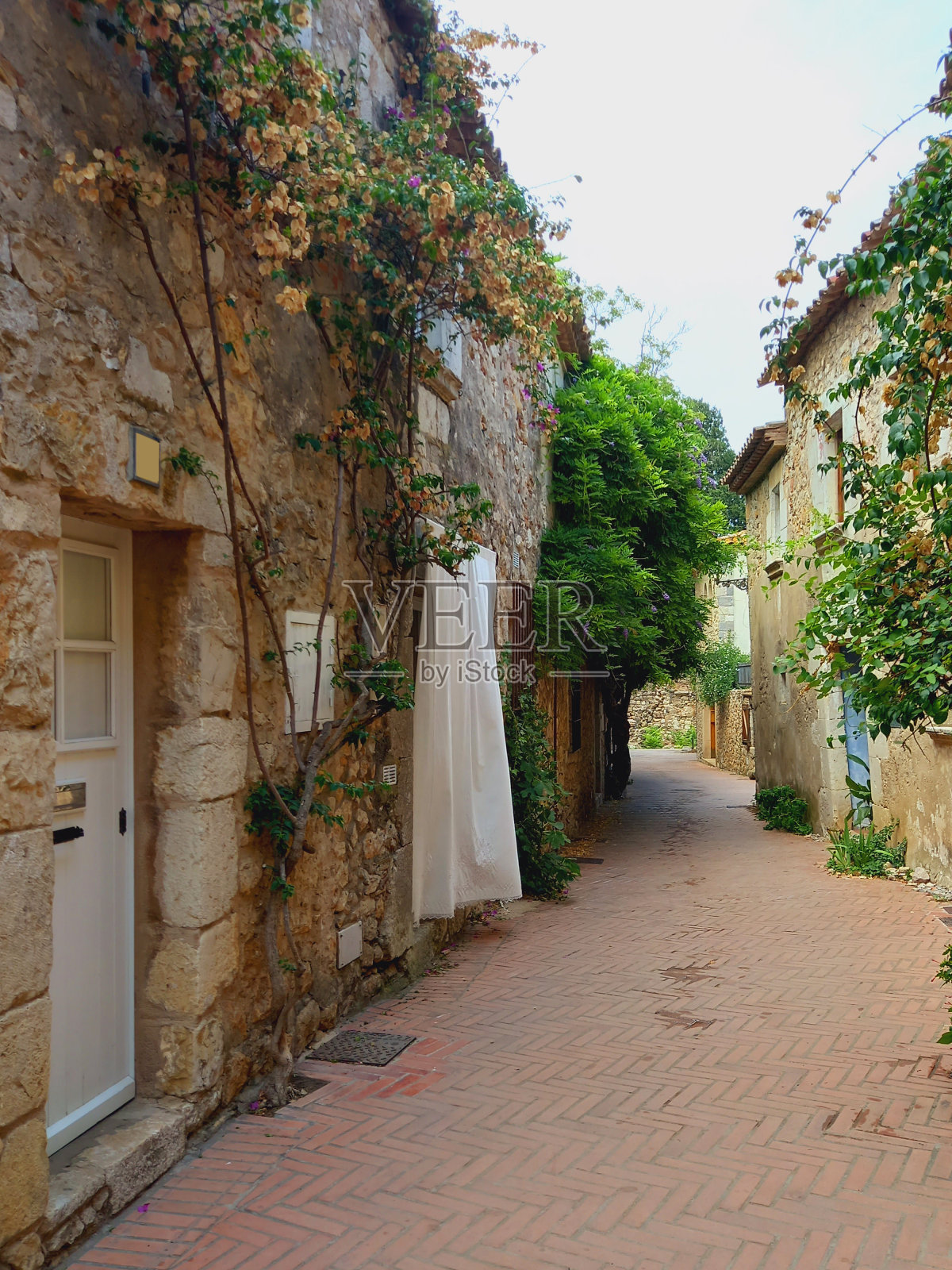 乡间小村中的步行街。乡村旅游、建筑与建设照片摄影图片