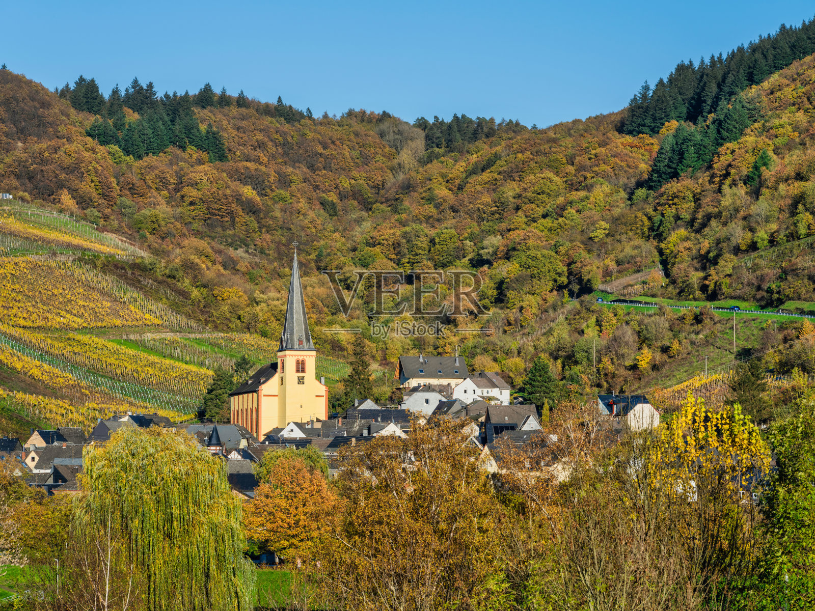 在德国Cochem-Zell一个美丽的秋日，Senheim村庄和教堂坐落在山上照片摄影图片