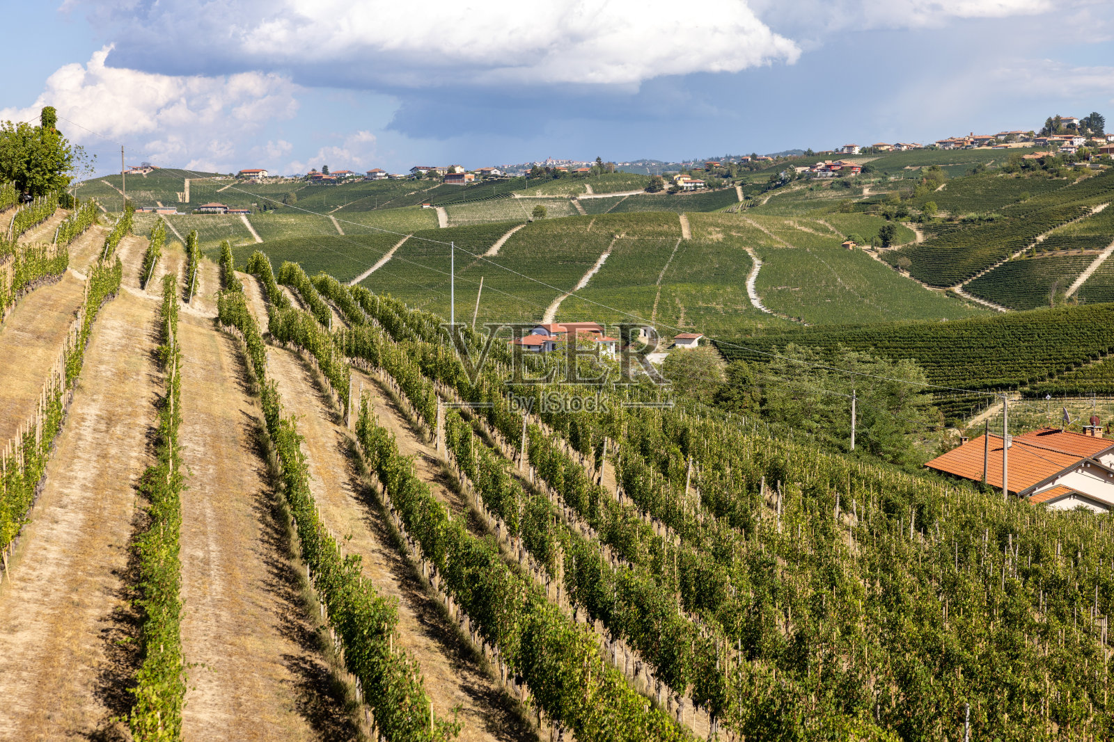 意大利皮埃蒙特巴罗洛联合国教科文组织遗址附近的朗河葡萄园照片摄影图片