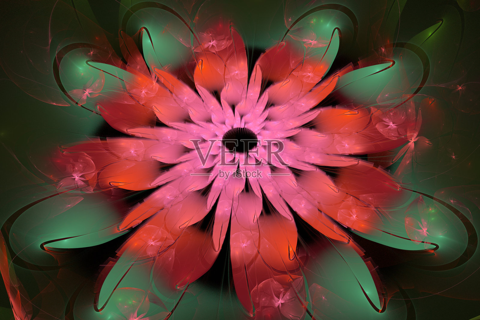 黑色背景上红绿色的弯曲形状的花卉图案。照片摄影图片