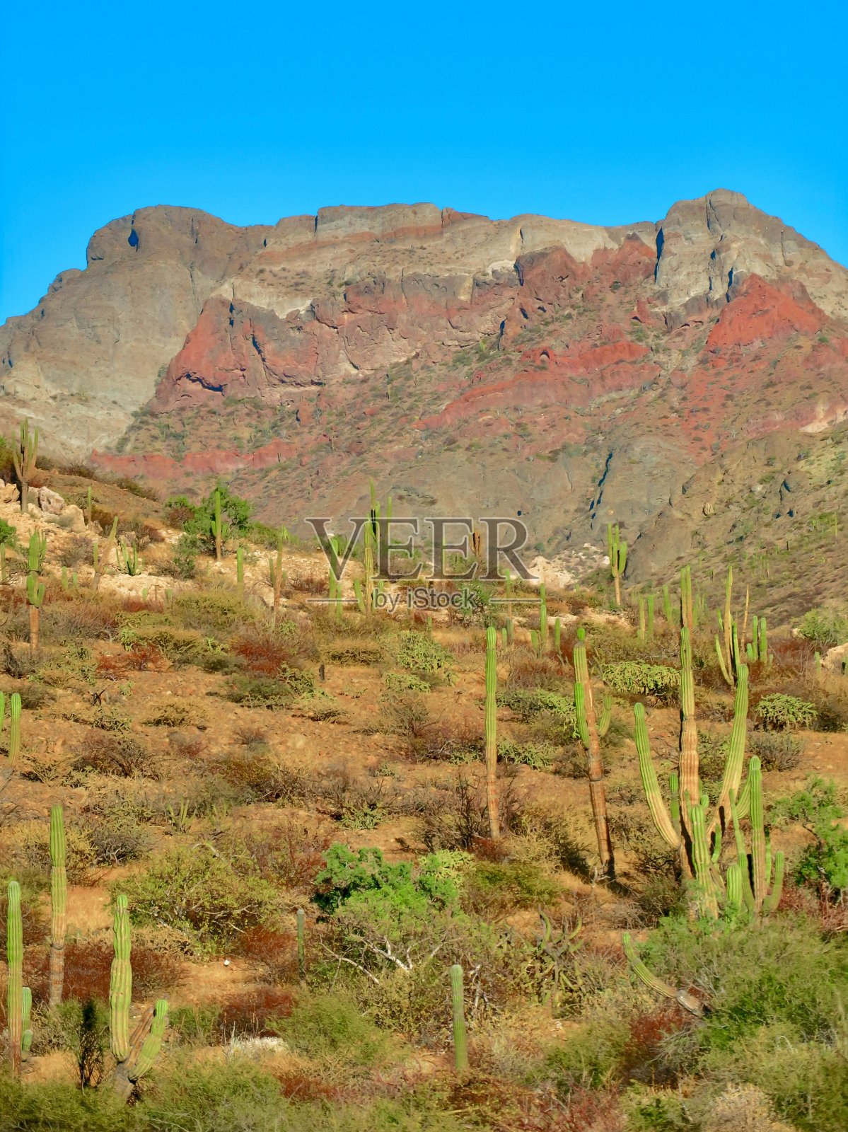 雄伟的沙漠照片摄影图片