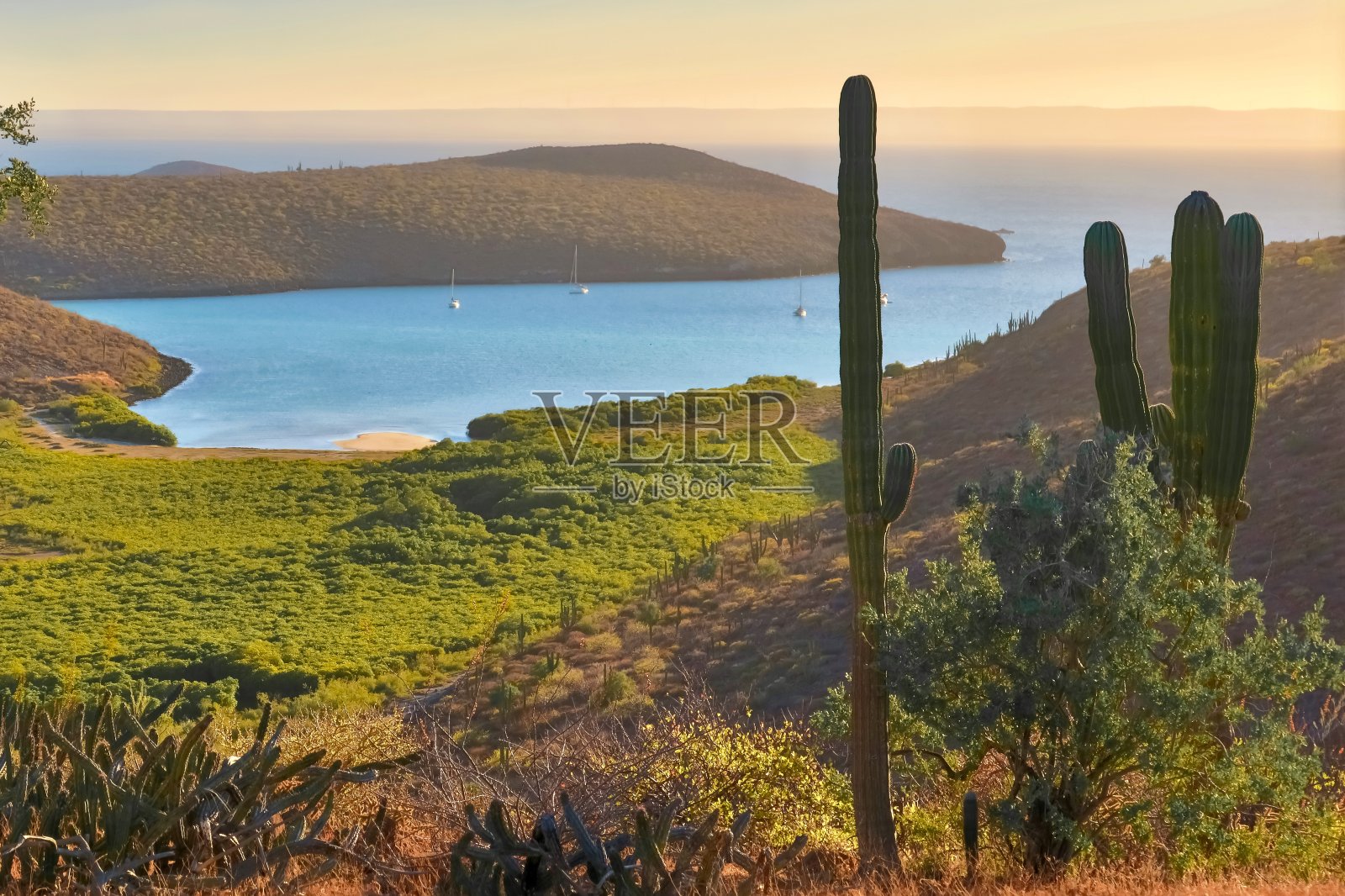 雄伟海湾照片摄影图片