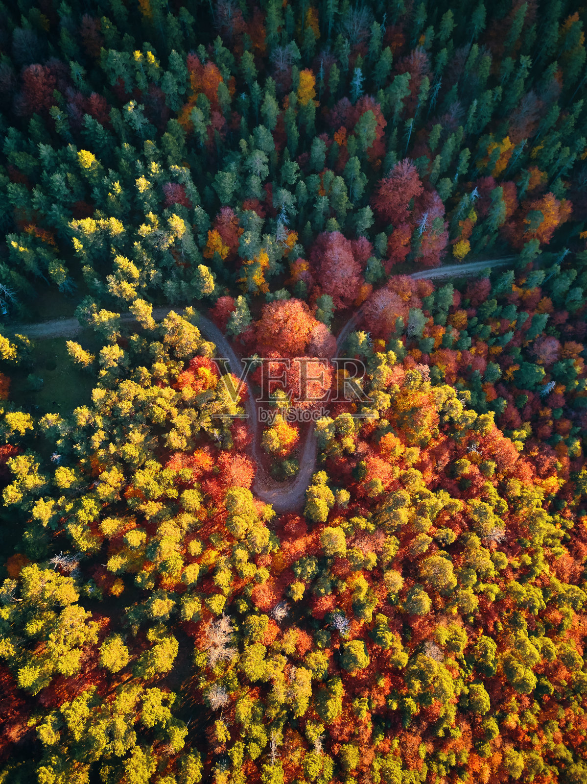 秋天的风景照片摄影图片