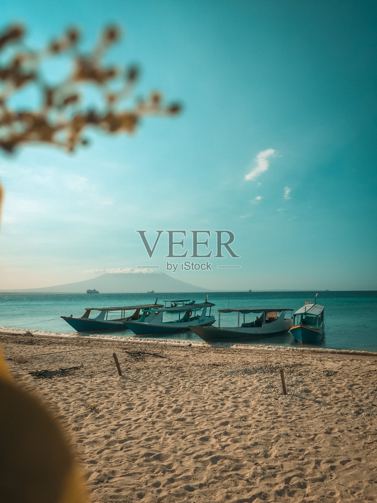 黄蜂岛照片摄影图片