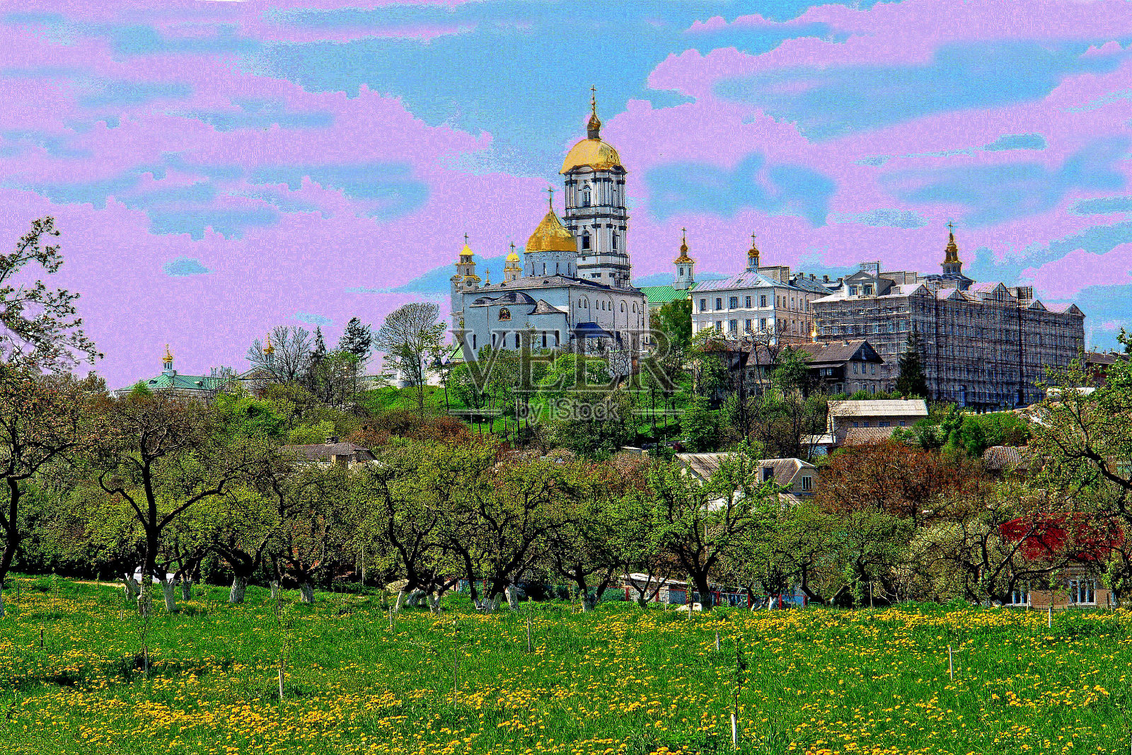 天空衬托着田野上的树木照片摄影图片