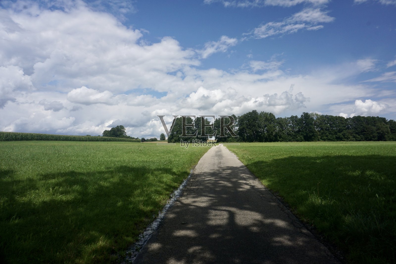 夏季上巴伐利亚的人行道。漫步在巴伐利亚的绿色田野和蓝天下。巴伐利亚夏季的传统景观。夏天在云雾缭绕的天空下漫步。照片摄影图片