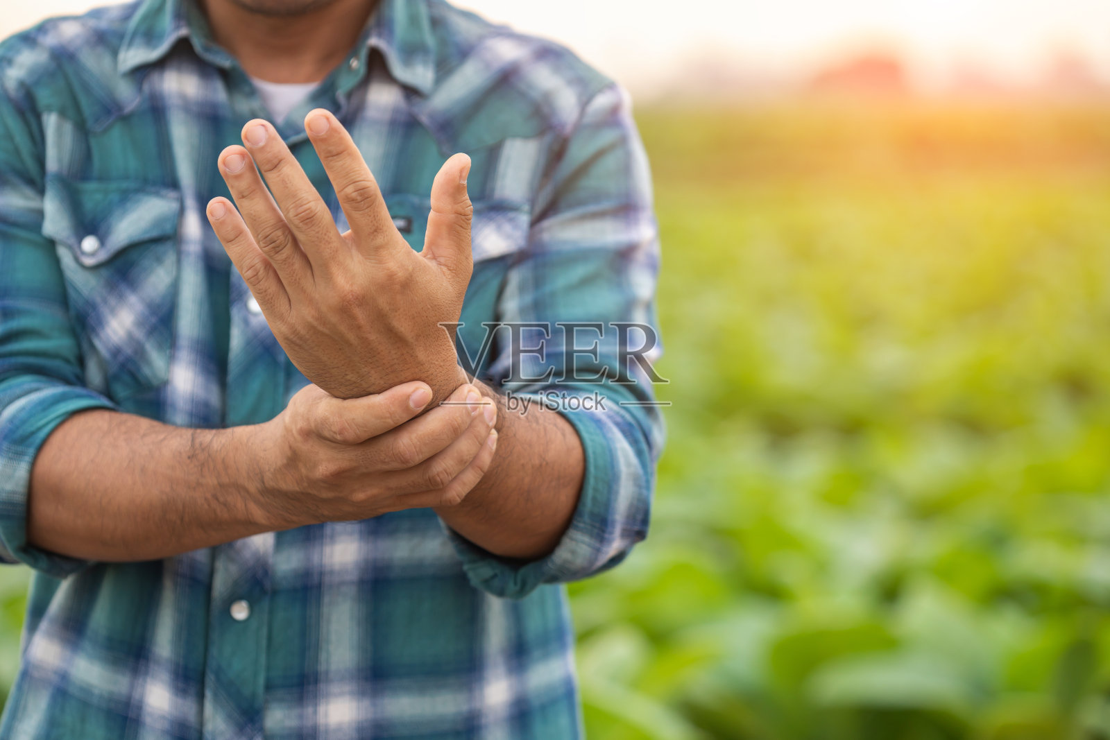 农民在工作时可能发生的伤害或疾病。男人因为受伤、疼痛或感觉不舒服而用手捂住手腕。照片摄影图片