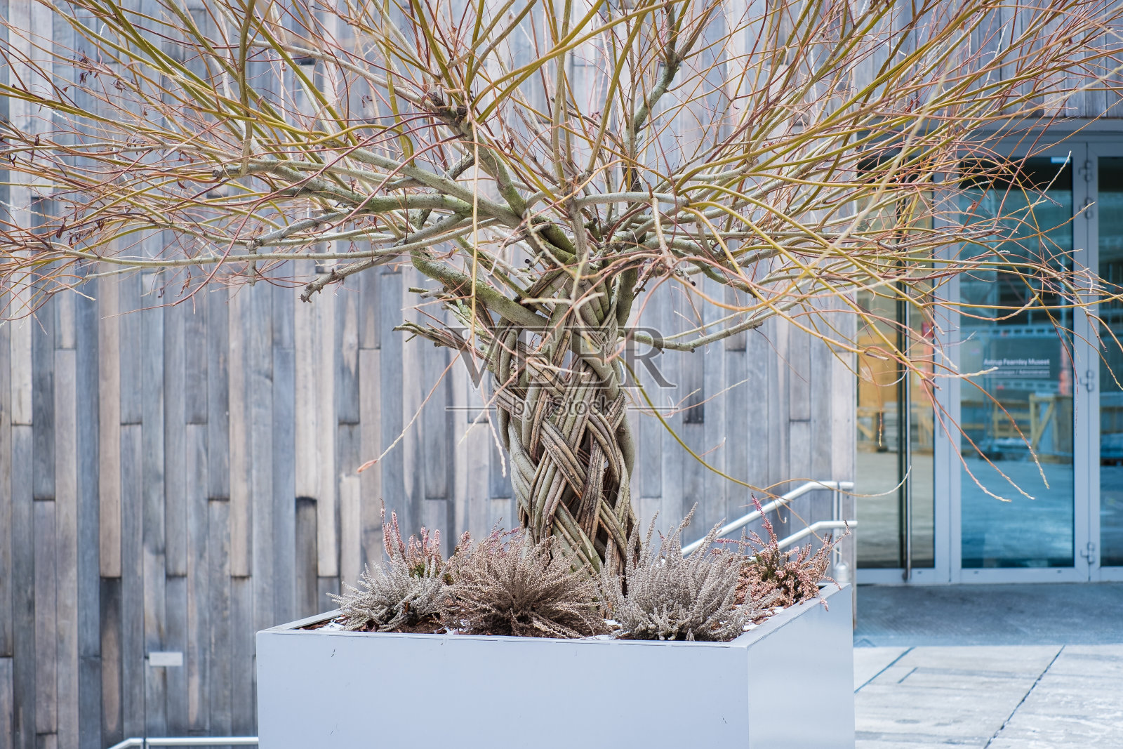 有趣的城市花卉装饰。照片摄影图片