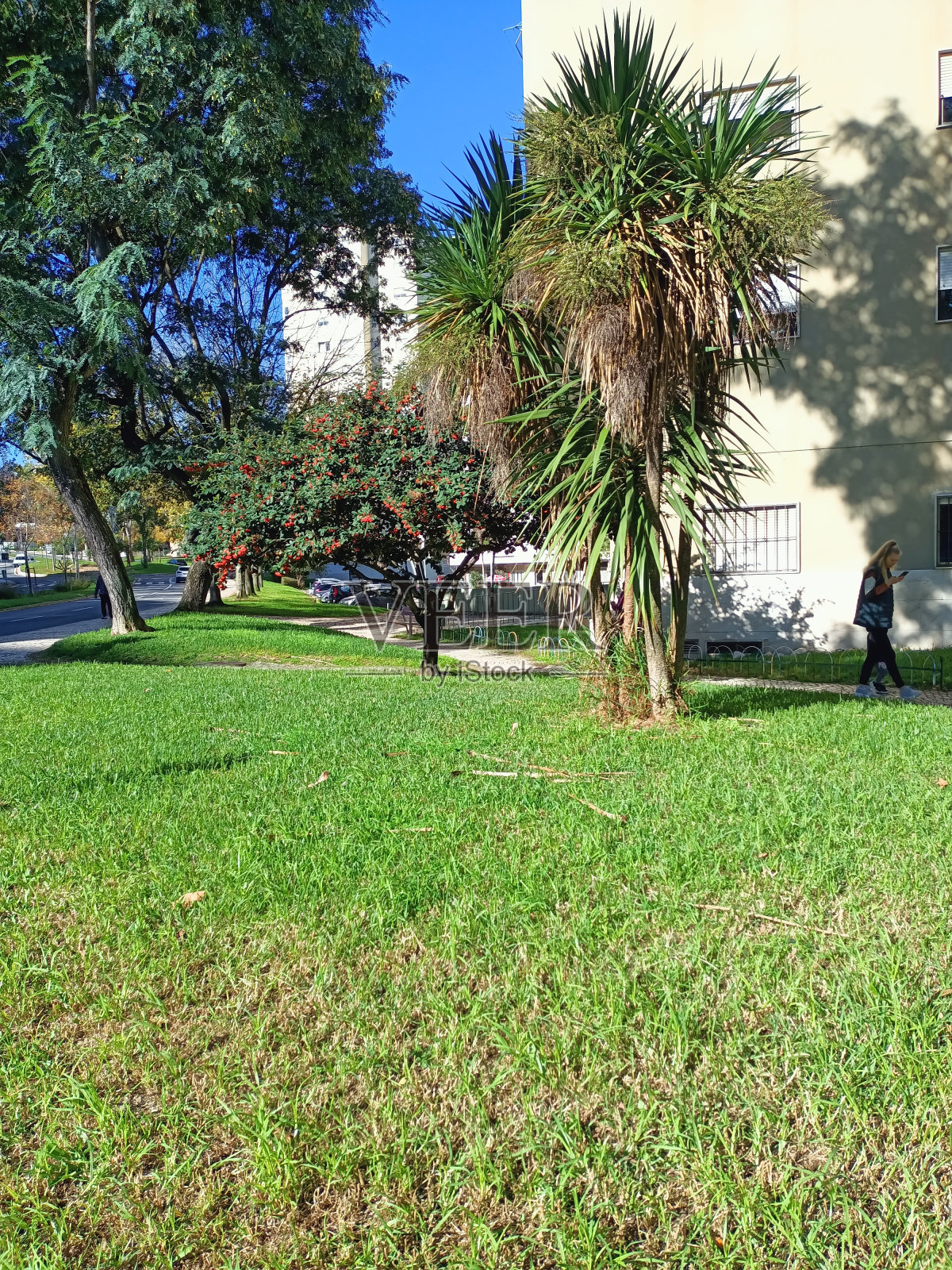 阳光明媚的一天，葡萄牙里斯本的一个地区照片摄影图片