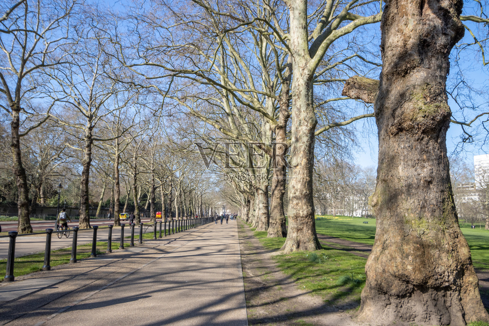 伦敦威斯敏斯特市的绿色公园照片摄影图片
