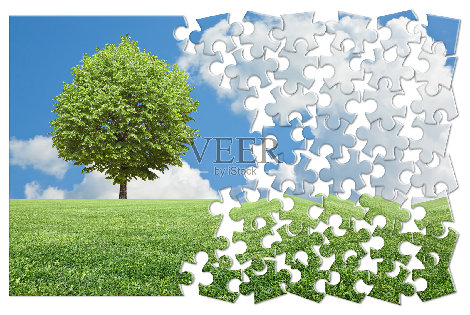 在农业领域孤独的树-环境保护概念在拼图形状照片摄影图片