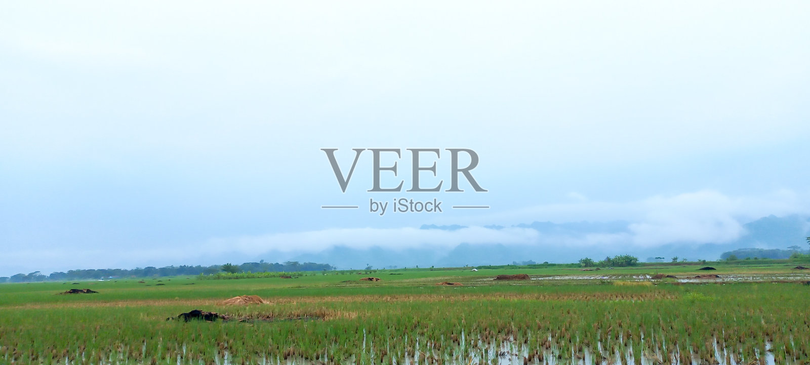 美丽的农业领域与多云的天空背景照片摄影图片