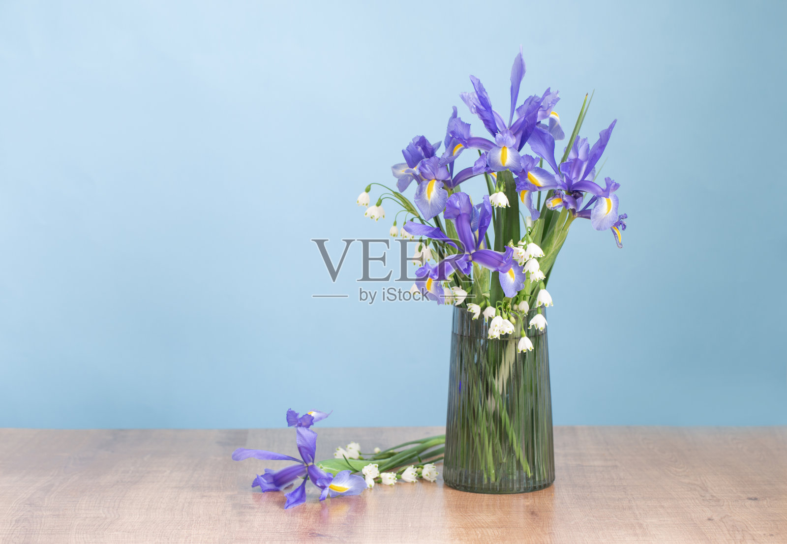 蓝色背景的玻璃花瓶里有春天的花朵照片摄影图片