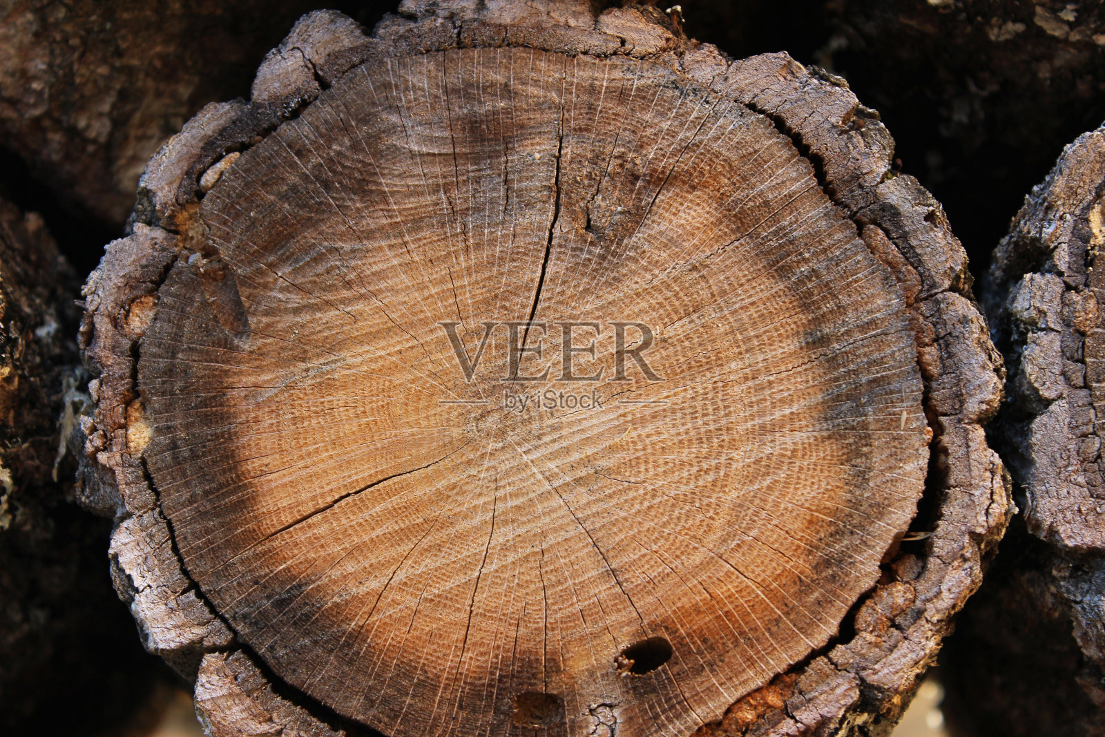 木材树干的细节用于柴火照片摄影图片