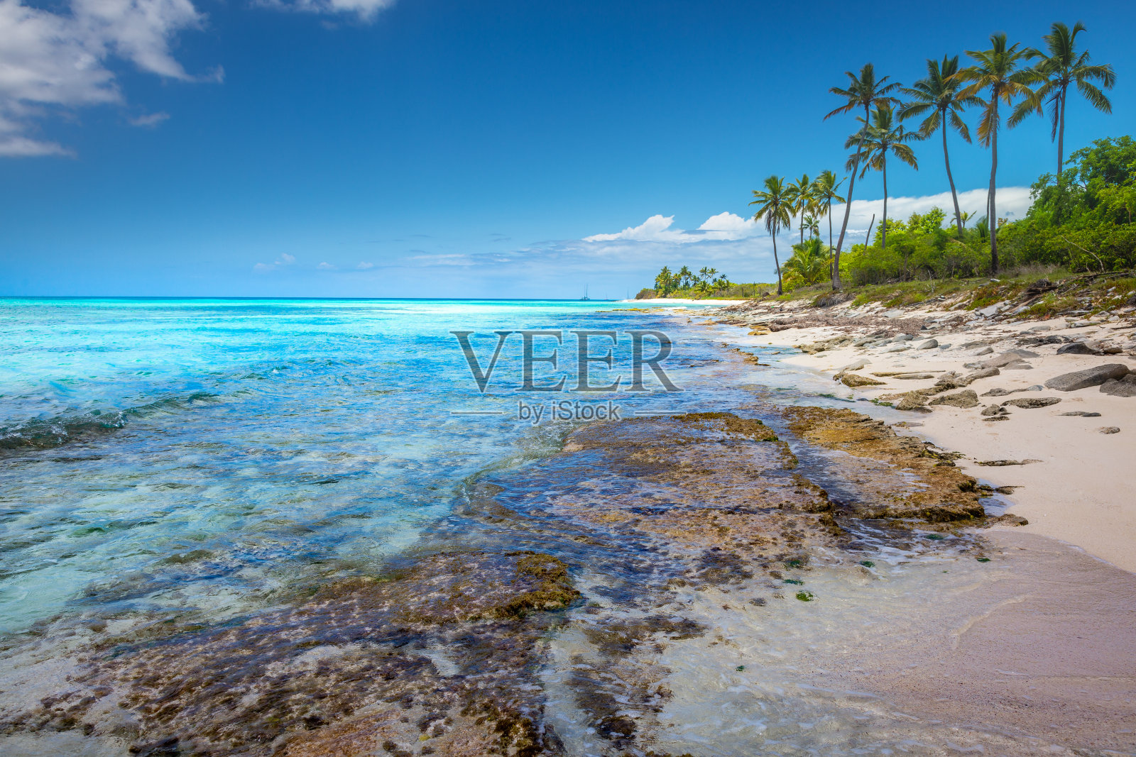 多米尼加共和国蓬塔卡纳的桑纳岛，田园般的加勒比热带海滩照片摄影图片