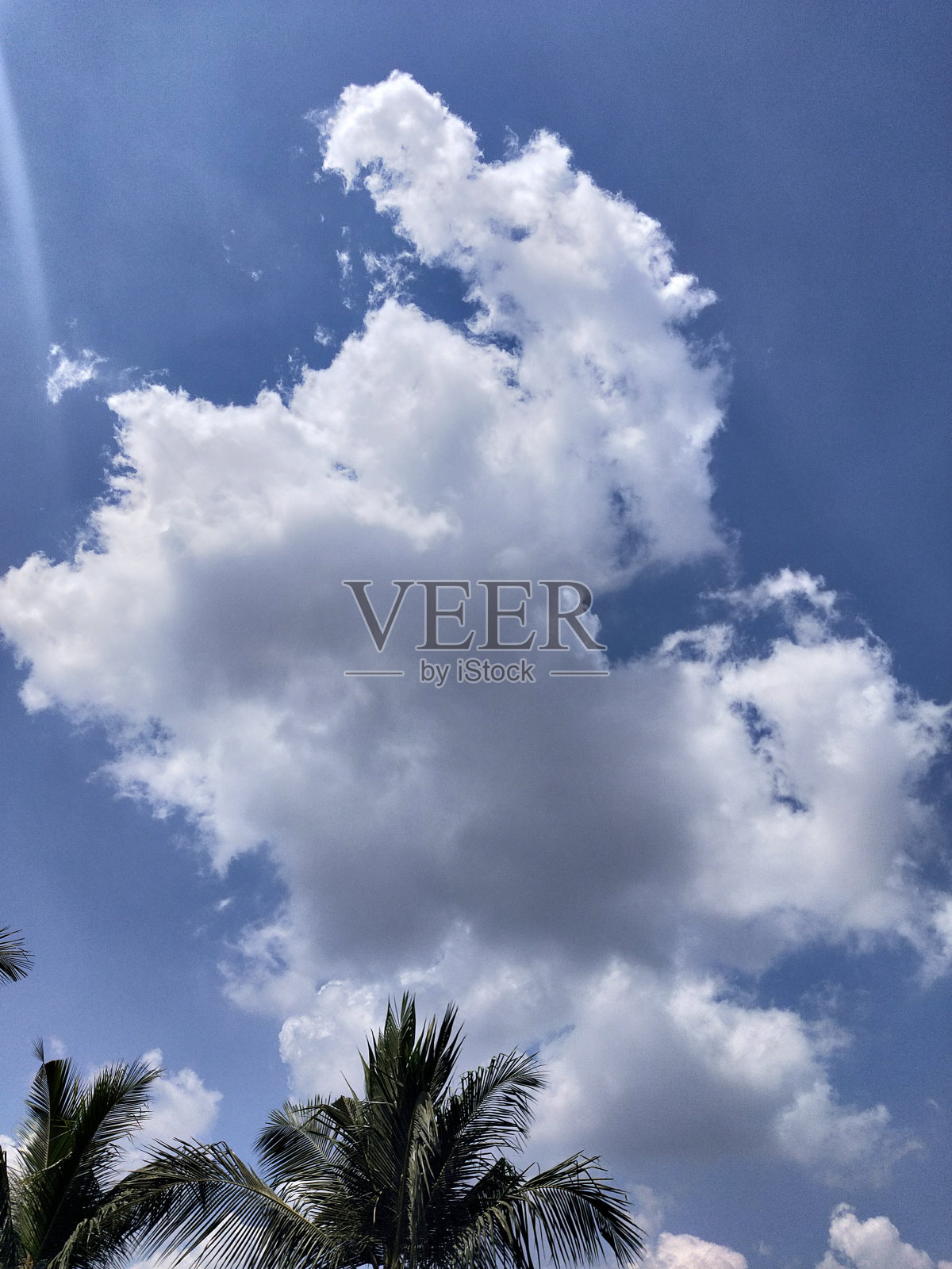 马形的明亮积云出现在天空中照片摄影图片