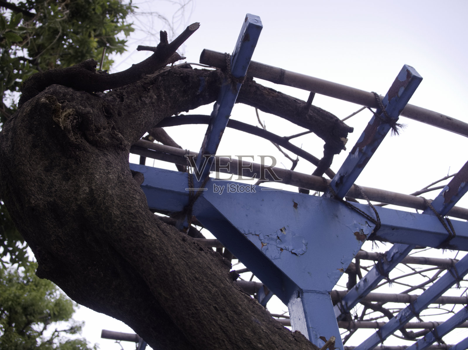 日本公园照片摄影图片