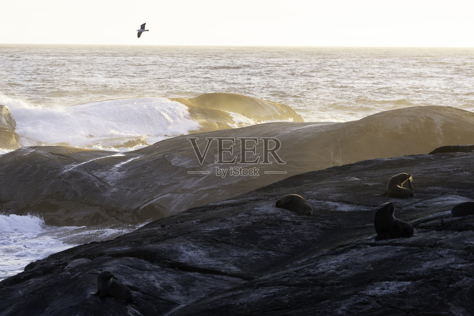 日落时海浪撞击岩石照片摄影图片
