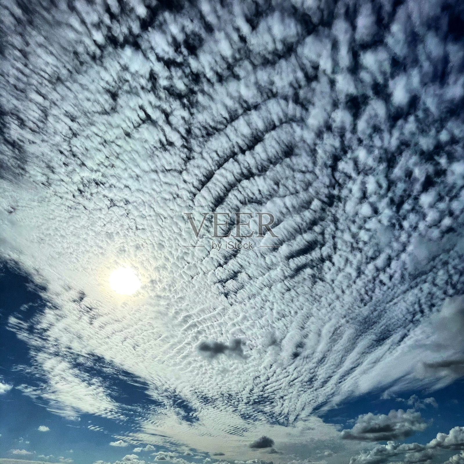 发现圣西蒙斯岛的美丽照片摄影图片