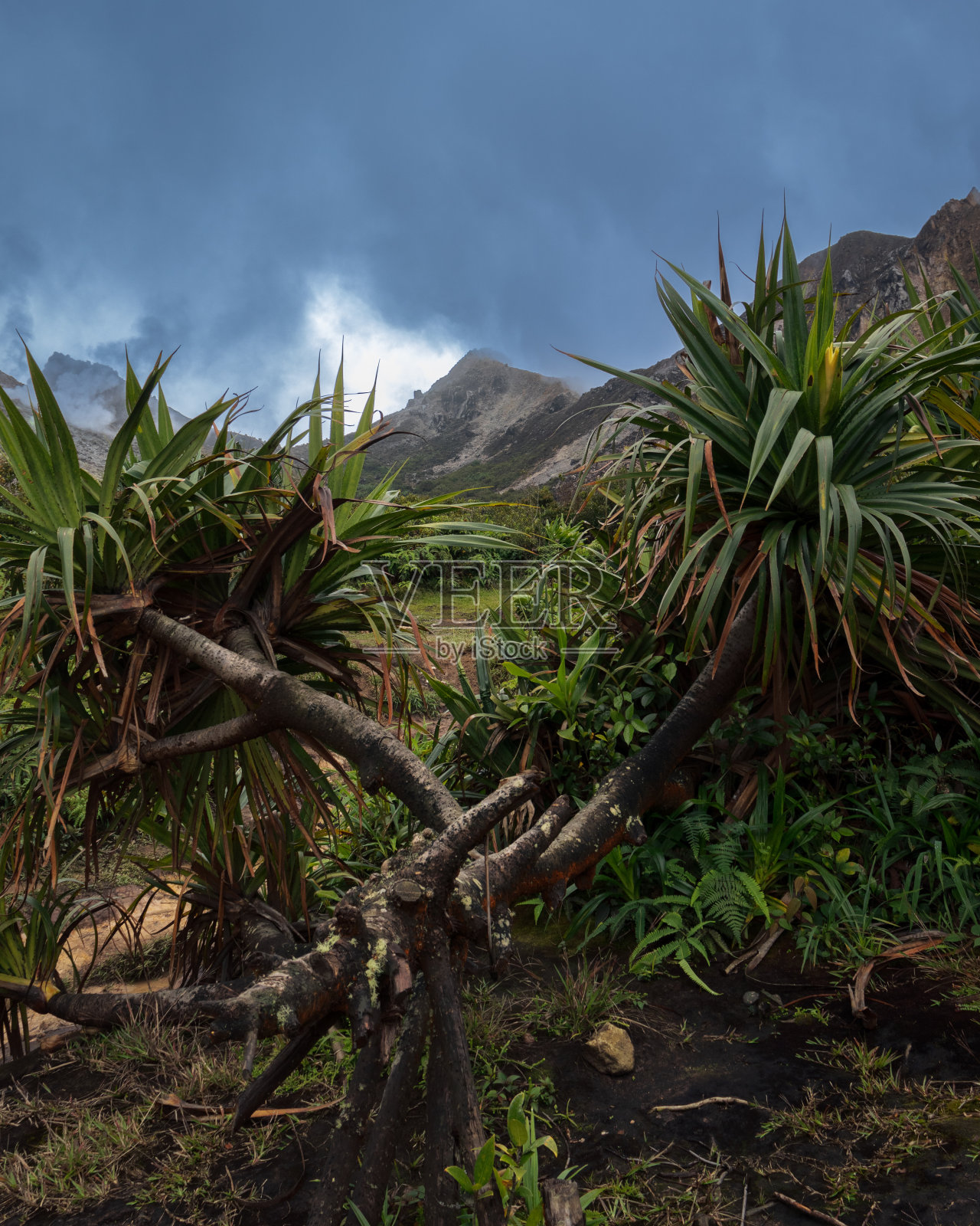 印度尼西亚北苏门答腊的山峰，背景是多云的天空照片摄影图片