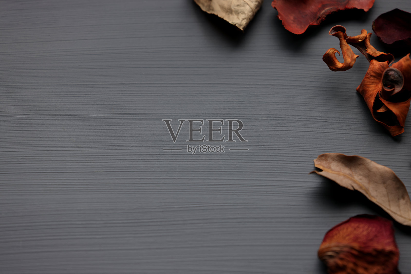 叶子躺在黑色的背景上照片摄影图片