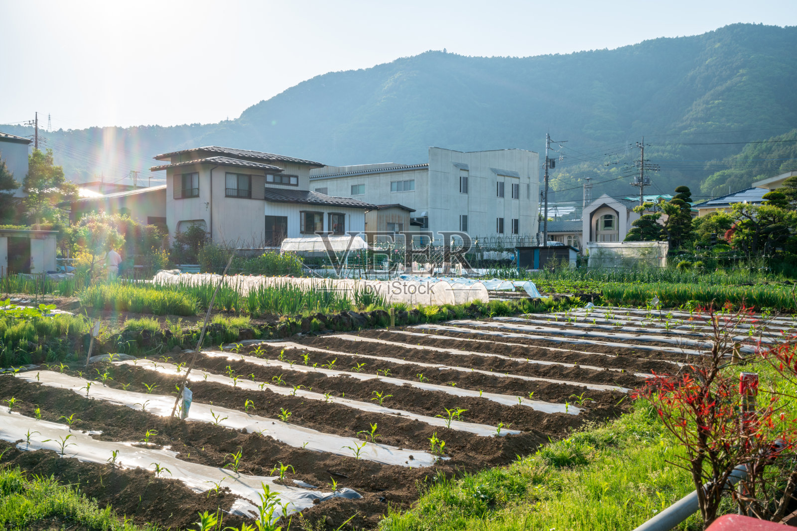 日本的邻里关系照片摄影图片