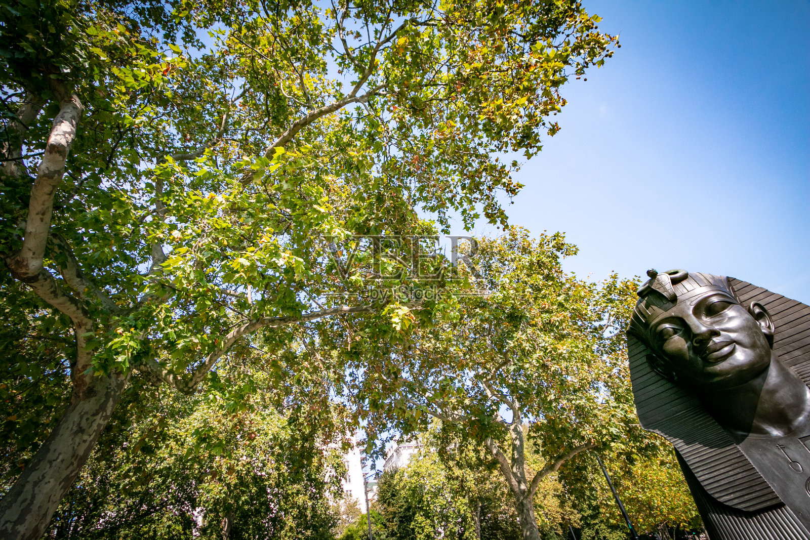 伦敦威斯敏斯特城堤上埃及艳后针上的狮身人面像照片摄影图片