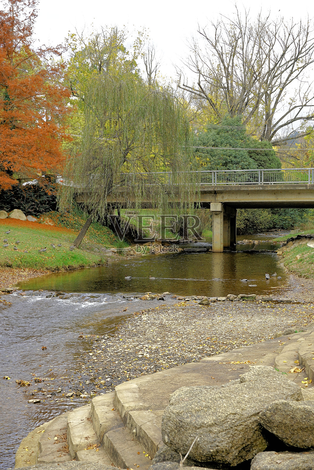 布莱特，维多利亚，澳大利亚照片摄影图片
