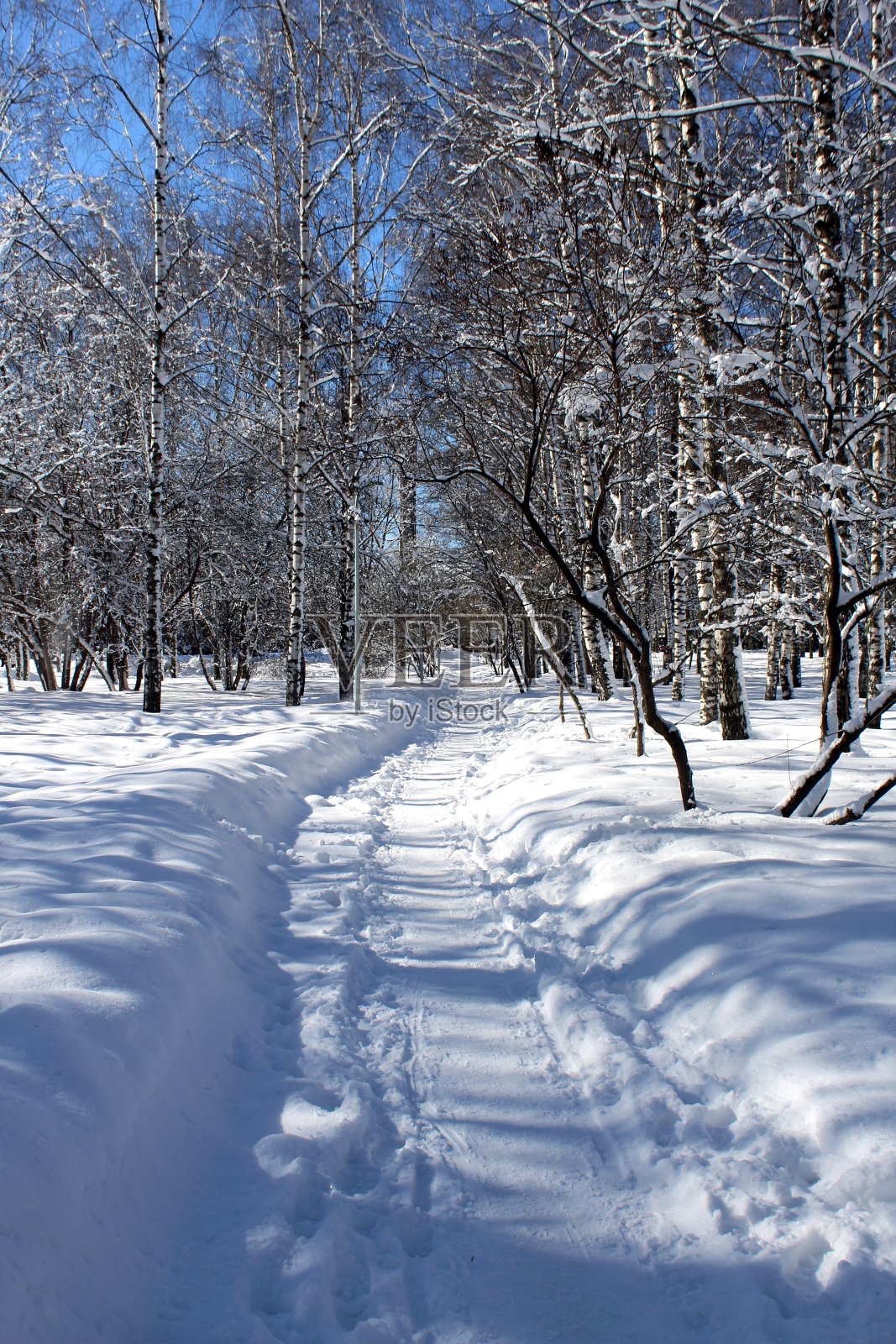 在一个晴朗晴朗的日子里，城市公园的冬季景观。照片摄影图片