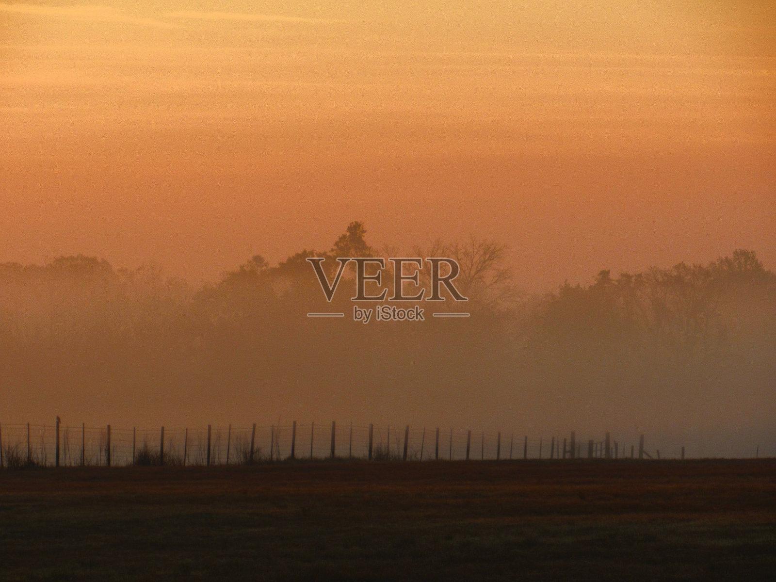 进入雾中照片摄影图片